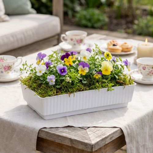 Fatskål Lara 15cm x 8cm x 4cm 10stk | Floristik24.dk