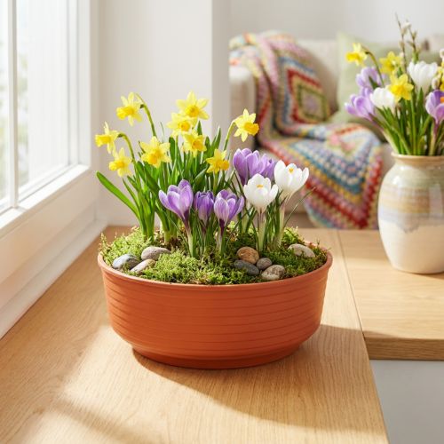 Z-skål plast Ø16cm 10 stk | Floristik24.dk