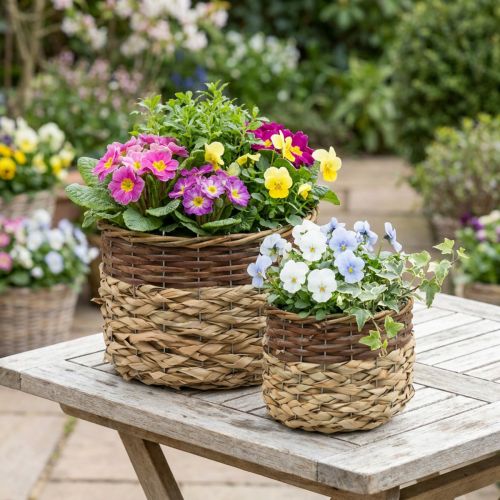 Flettet kurv Naturlig flettet planteskål Naturlig L30/22 cm H20/17 cm Sæt med 2 | Floristik24.dk