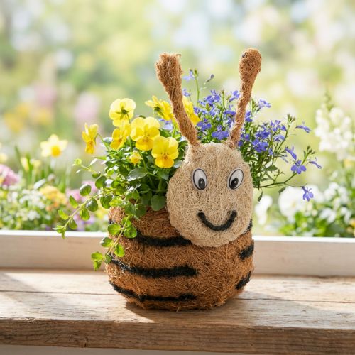 Artikel Biformet plantekasse som dekorativ plantekurv til legende indretning, forår og sommer, 24 cm, 2 stk.