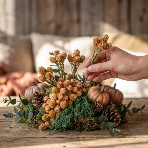 Artikel Salignum lys 4-6 blomster på Leucadendron grenen 100 stk