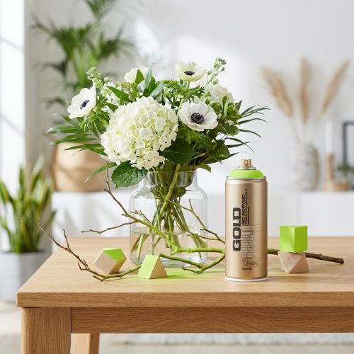 Malingsspray æblegrøn spraymaling akrylmaling Montana Gold 400ml | Floristik24.dk