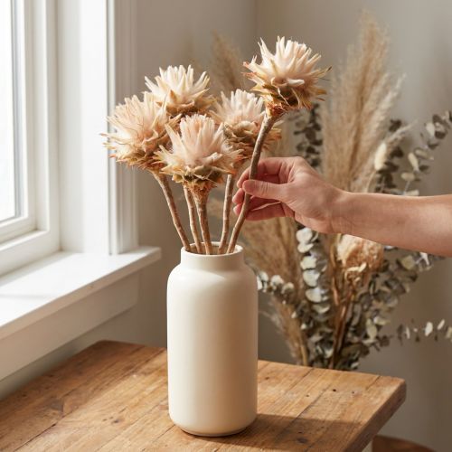 Leucospermum Plumosum Silver Tree Blossoms Light 25 stk | Floristik24.dk