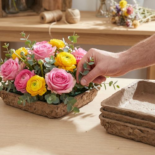 Oasis Biolit Basic Blomsterskum 13x13x2cm 12-delt sæt Blomsterdekoration DIY | Floristik24.dk