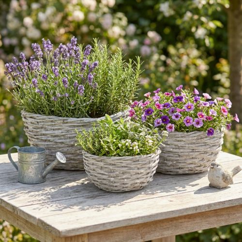 Kurvesæt i flet, hvidgrå, shabby chic dekoration, 3 dele | Floristik24.dk