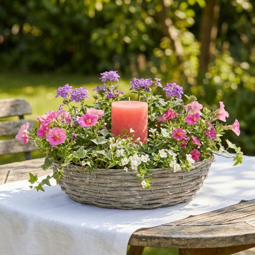 Pilepotte, hvid, naturligt look, dekorativ ring til kreativt havedesign, Ø35/30 cm, sæt med 2, alsidig | Floristik24.dk