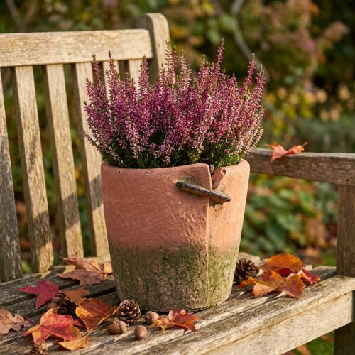 Urtepottepottepotte i beton terracotta potte Ø18cm H17cm | Floristik24.dk