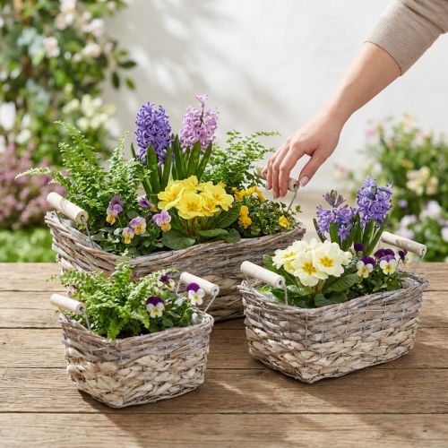 Plantekurv med hanke, firkantet kurveskål, naturlig plantekasse til plantning shabby chic vasket hvid L30/25,5/21 cm H12/11/10 cm sæt med 3 | Floristik24.dk