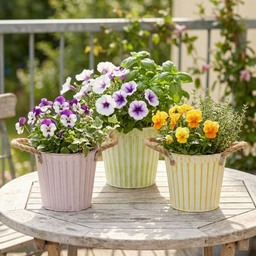 Spand til plantning, plantekasse med håndtag, metaldekoration pink/grøn/gul shabby chic Ø16,5 cm H15 cm 3-delt sæt | Floristik24.dk