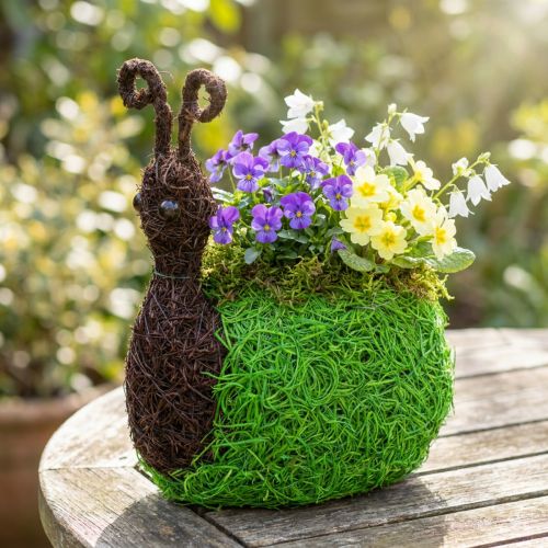 Plantekasse Snegl Vine Naturlig, Grøn 21x14cm H26cm | Floristik24.dk