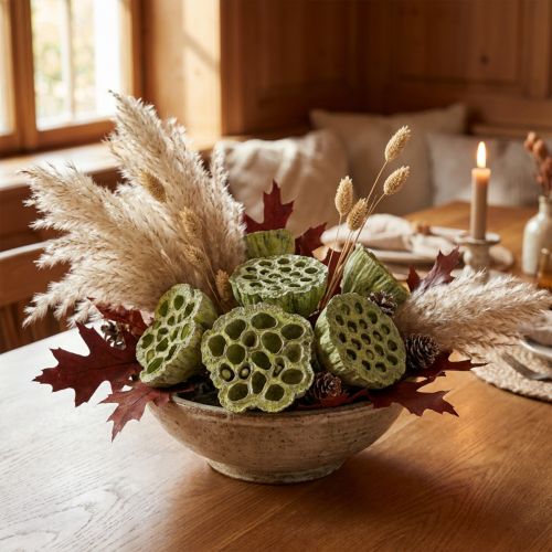 Lotus kolbe mix grøn vasket Ø6cm - 10cm 50 stk | Floristik24.dk
