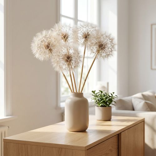 Kæmpe Mælkebøtte Dekorative Tørrede Blomster til Moderne Boligindretning 12cm 4stk | Floristik24.dk