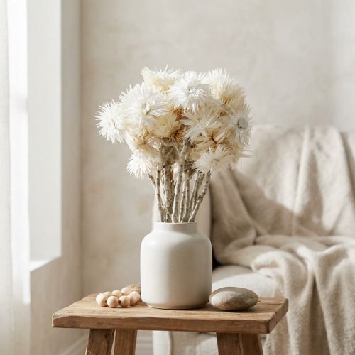 Tørrede blomster, hatteblomster, naturhvide, stråblomster, tørret blomsterbuket H33cm | Floristik24.dk