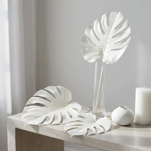 Artikel Monstera blade bleget dekorativt vinduesblad H40cm 5 stk