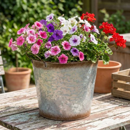 Plantepotte med håndtag, dekorativ skål med rustfinish, sølvmetalbeholder Ø26cm H25,5cm | Floristik24.dk