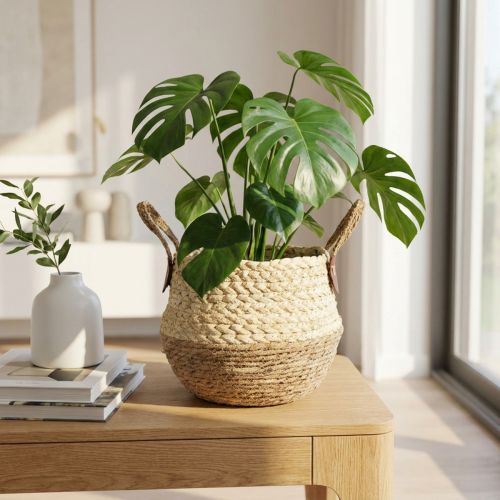 Søgræskurv Tofarvet med Håndtag - Opbevarings- og Plantekurv - Naturlig & Brun Ø25cm H24cm | Floristik24.dk