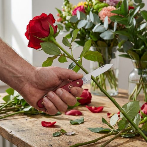 Blomsterhandler kniv Victorinox | Floristik24.dk