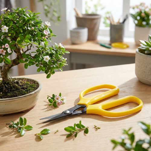 Oasis bonsai & tangsaks 15,5 cm | Floristik24.dk