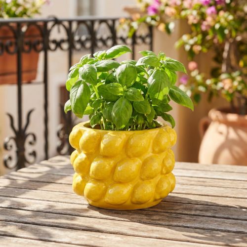 Artikel Urtepotte keramisk plantekasse citrongul Ø18cm H13cm