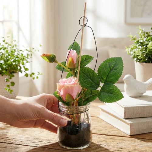 Rose i et glas Rosa H23cm | Floristik24.dk