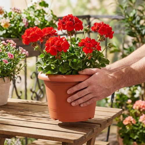 Artikel Plantepotte “Oliver” terracotta Ø25cm