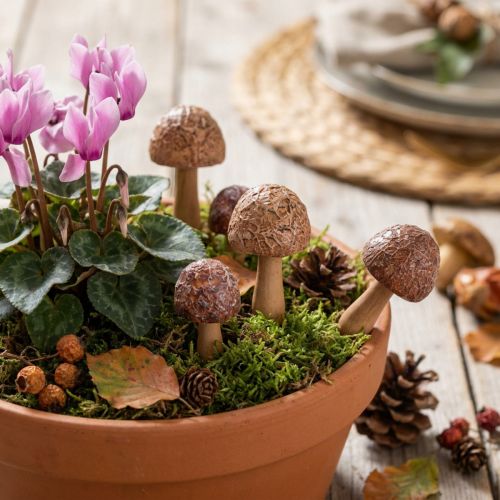 Artikel Blomsterpæle, svampedesign, dekorative træpæle, brune, Ø2,5 cm, 8 stk.
