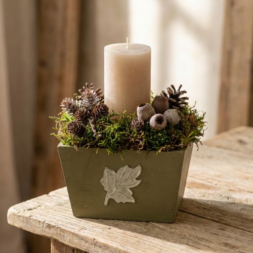Træplantekasse, shabby chic-stil, grøn, 11×14,5×14 cm | Floristik24.dk