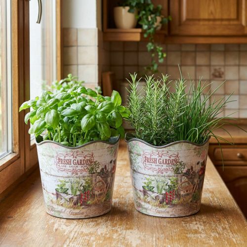 Artikel Urtepotte urtepotte plast Fresh Garden H13,5cm 2stk