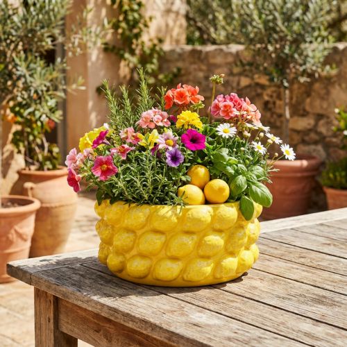Plantekasse citron keramisk skål plantekasse gul Ø26cm H12cm | Floristik24.dk