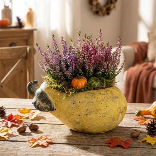 Dekorativ pæreformet plantekasse, efterårsblomstpotte, beton, 25×13×11 cm | Floristik24.dk
