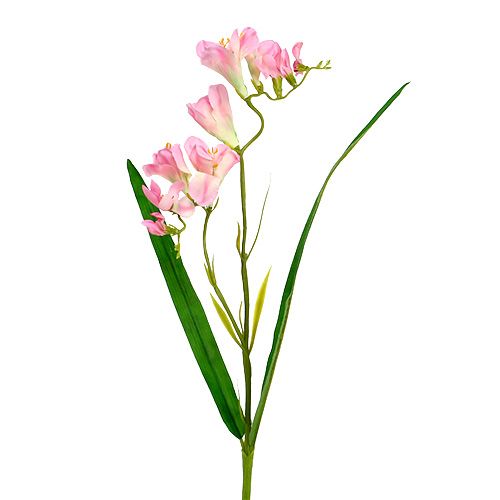 Floristik24 Freesia 56cm pink 4stk