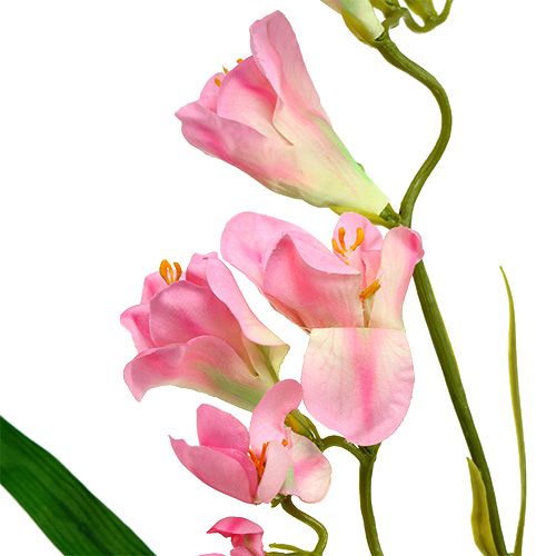 Floristik24 Freesia 56cm pink 4stk