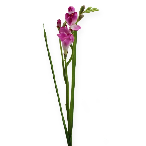 Floristik24 Kunstig blomsterfresie 56cm 3stk.