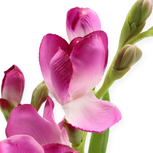 Floristik24 Kunstig blomsterfresie 56cm 3stk.