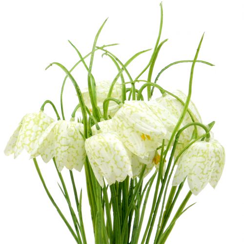 Skaktern blomster Fritillaria kunsthvid, grøn 40cm 12 stk