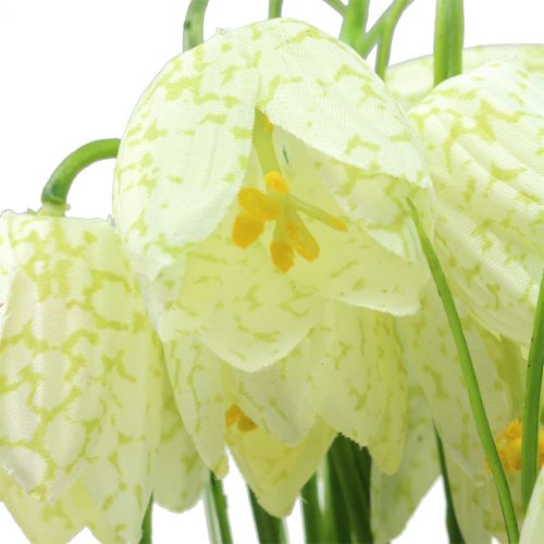 Floristik24 Skaktern blomster Fritillaria kunsthvid, grøn 40cm 12 stk