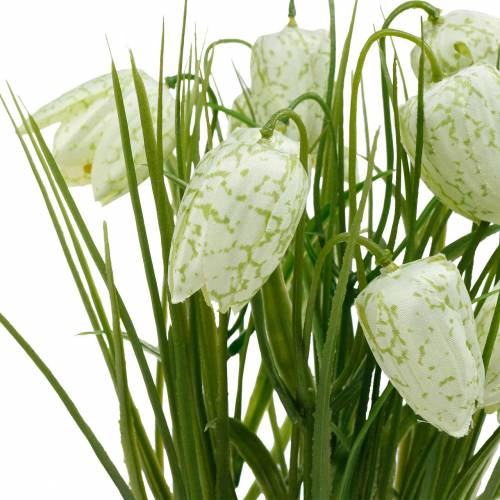 Floristik24 Fritillaria i potte, skakternet blomst grøn og hvid, kunstig blomst