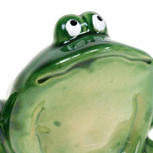 Floristik24 Dekorativ frø kunststengrøn 9 cm H5.8cm