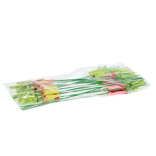 Floristik24 Frø i en urtepotte assorteret. 9cm L28cm 16 stk