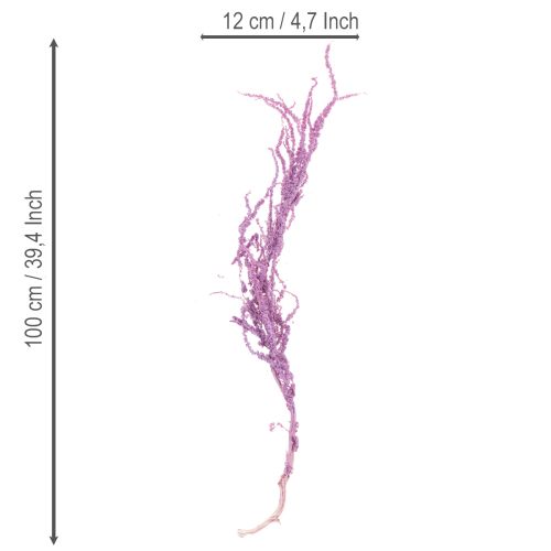 Artikel Tørrede rævehaleblomster, farvede, til moderne boligindretning, 100 cm, 5 stk.