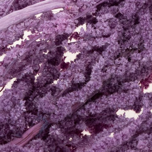 Artikel Tørrede rævehaleblomster, farvede, til moderne boligindretning, 100 cm, 5 stk.