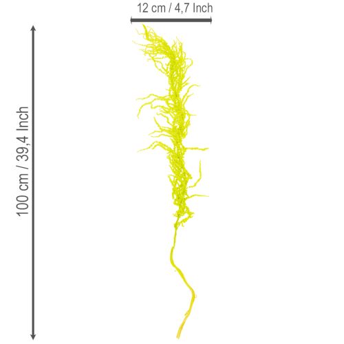 Artikel Tørrede rævehaleblomster, farvede, til speciel boligindretning og unikke detaljer, 100 cm, 5 stk.
