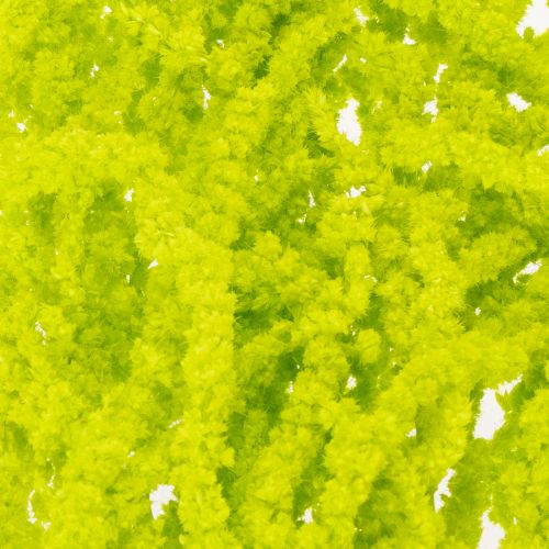 Artikel Tørrede rævehaleblomster, farvede, til speciel boligindretning og unikke detaljer, 100 cm, 5 stk.