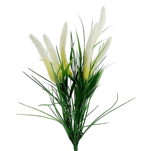 Floristik24 Foxtail græsgrøn, hvid 63cm