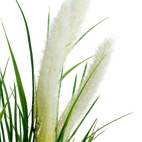 Floristik24 Foxtail græsgrøn, hvid 63cm