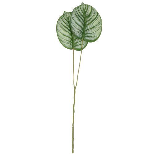 Artikel Calathea Kunstig Kurv Marante Kunstige Planter Grøn 51cm