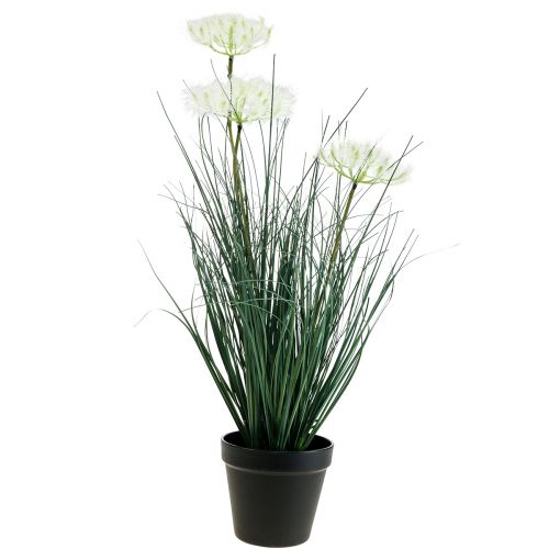 Floristik24 Bulrush Grass Kunstig Blomst Kunstige blomster i potte 56cm