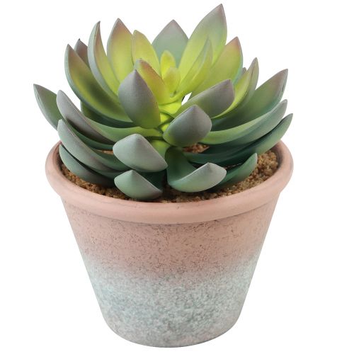 Artikel Sukkulent plante i potte Echeveria kunstgrøn årgang Ø15cm H16cm