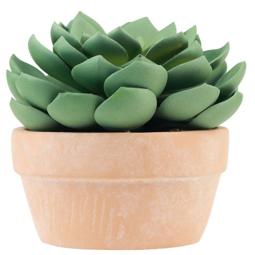 Sukkulent plante i potte Echeveria kunstgrøn Ø15cm