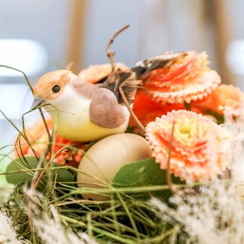 Floristik24 Daisy kunstfersken farvet 24cm 2stk